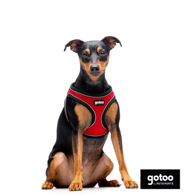 Gotoo Arnés ajustable de malla rojo para perros
