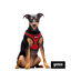 Gotoo Arnés ajustable de malla rojo para perros, , large indicador imagen numero 3