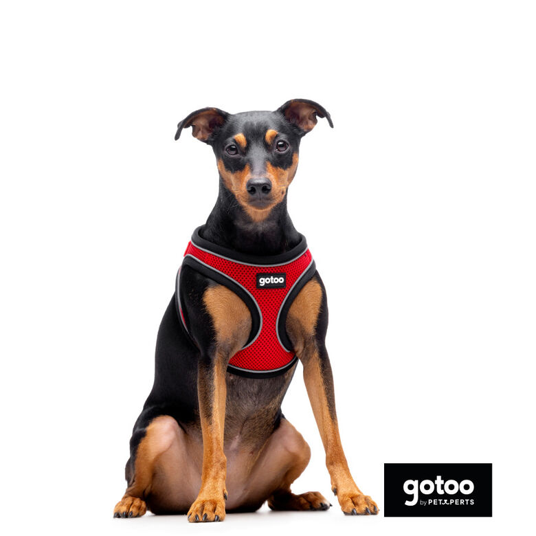 Gotoo Arnés ajustable de malla rojo para perros thumbnail