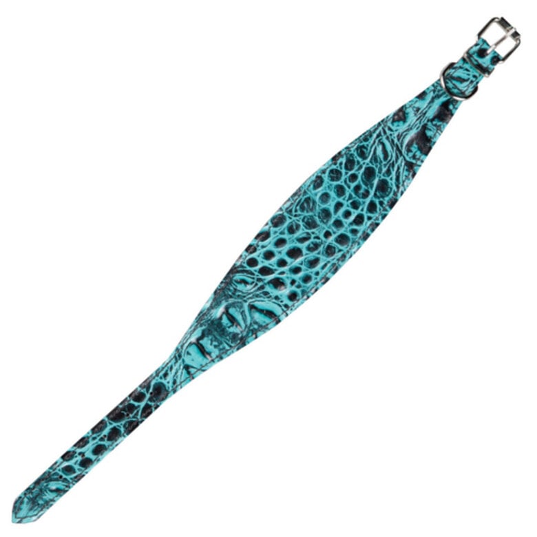 Arppe Collar de Cuero con Estampado Turquesa para Galgos,  Imagen numero 1 Arppe de cuero estampado turquesa collar galgos Imagen numero 1