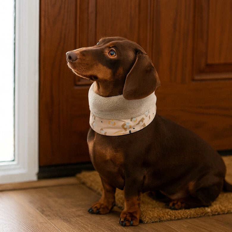 Outech Bufanda Leopardo para perros,  Imagen numero 1 Outech Bufanda Leopardo para perros, , large Imagen numero 1