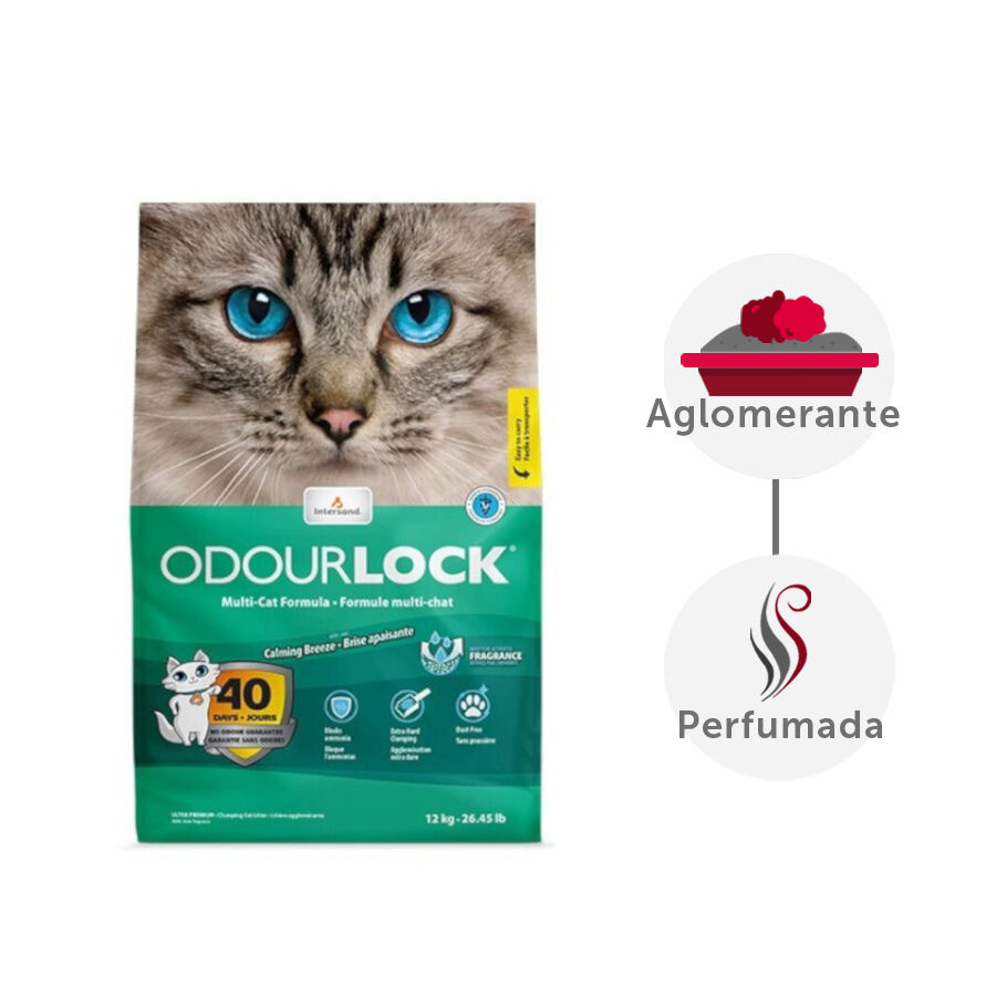 12 kg Intersand Odourlock Arena Aglomerante para gatos, , large Imagen numero 1