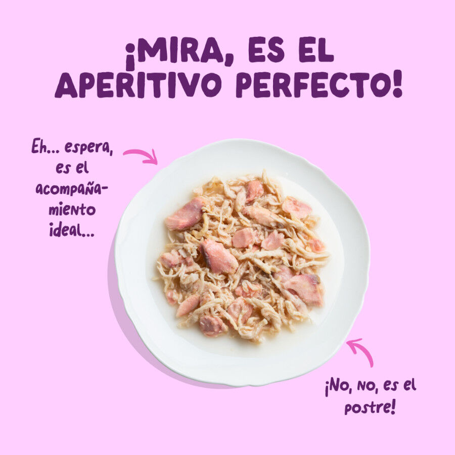 70 g Edgard & Cooper Filetes de Salm&oacute;n y Pollo Lata para gatos, , large Imagen numero 3