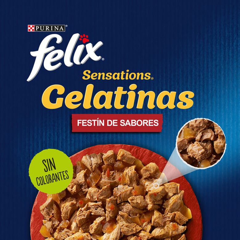 Felix Sensations Festín de Sabores sobres en gelatina para gatos thumbnail