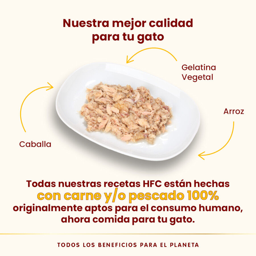 Almo Nature HFC caballa lata en gelatina para gatos thumbnail