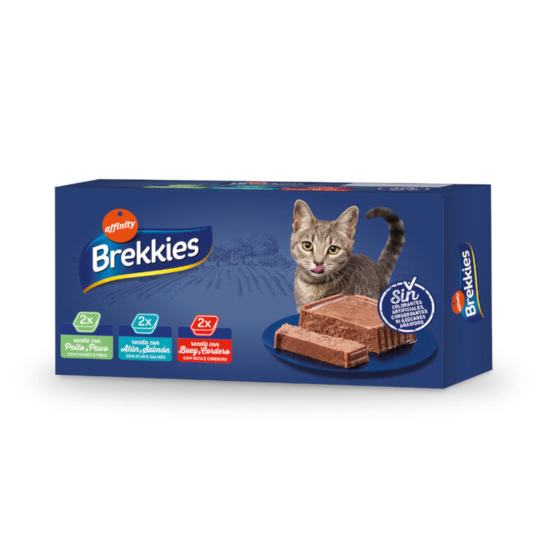 6 tarrinas x 100 g Affinity Brekkies Tarrinas para gato - Multipack,  Imagen numero 1 6 tarrinas x 100 g Affinity Brekkies Tarrinas para gato - Multipack, , large Imagen numero 1