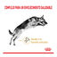 12 kg Royal Canin Adult 5+ Pastor Alemán pienso para perros, , large indicador imagen numero 2