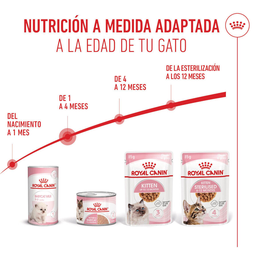 Royal Canin Mother &amp; Baby mousse latas para gatos thumbnail