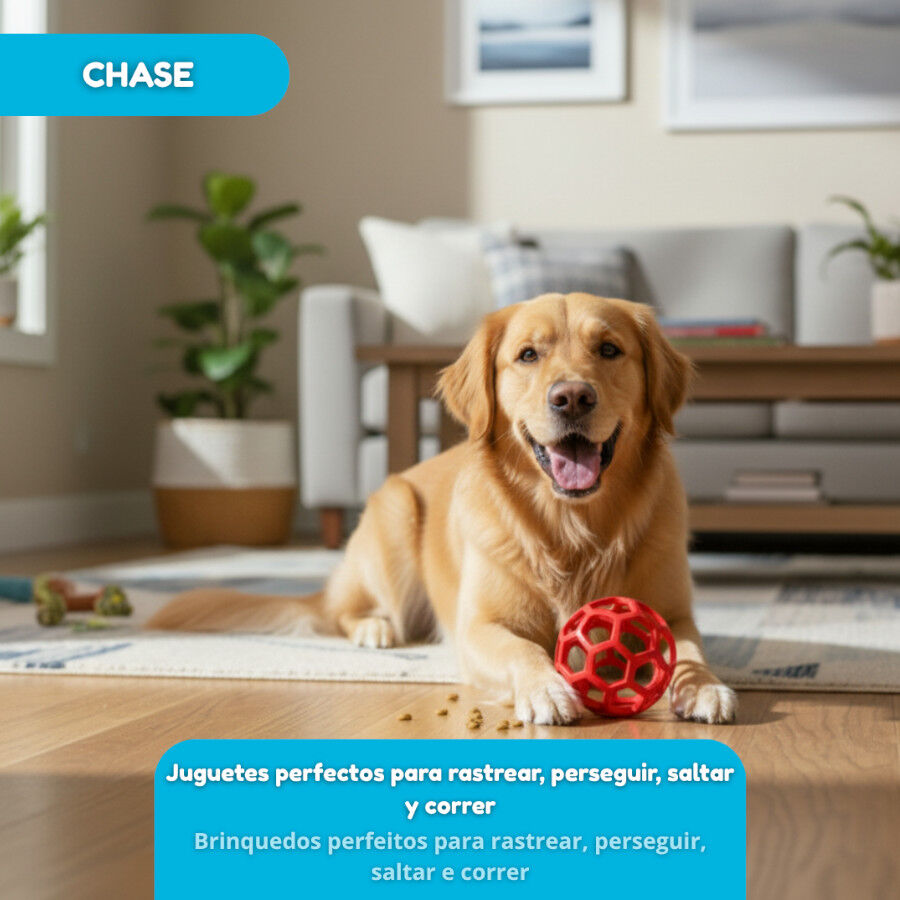 Tootoy! Pelota Easy Grip Hexagonal para perros, , large Imagen numero 5