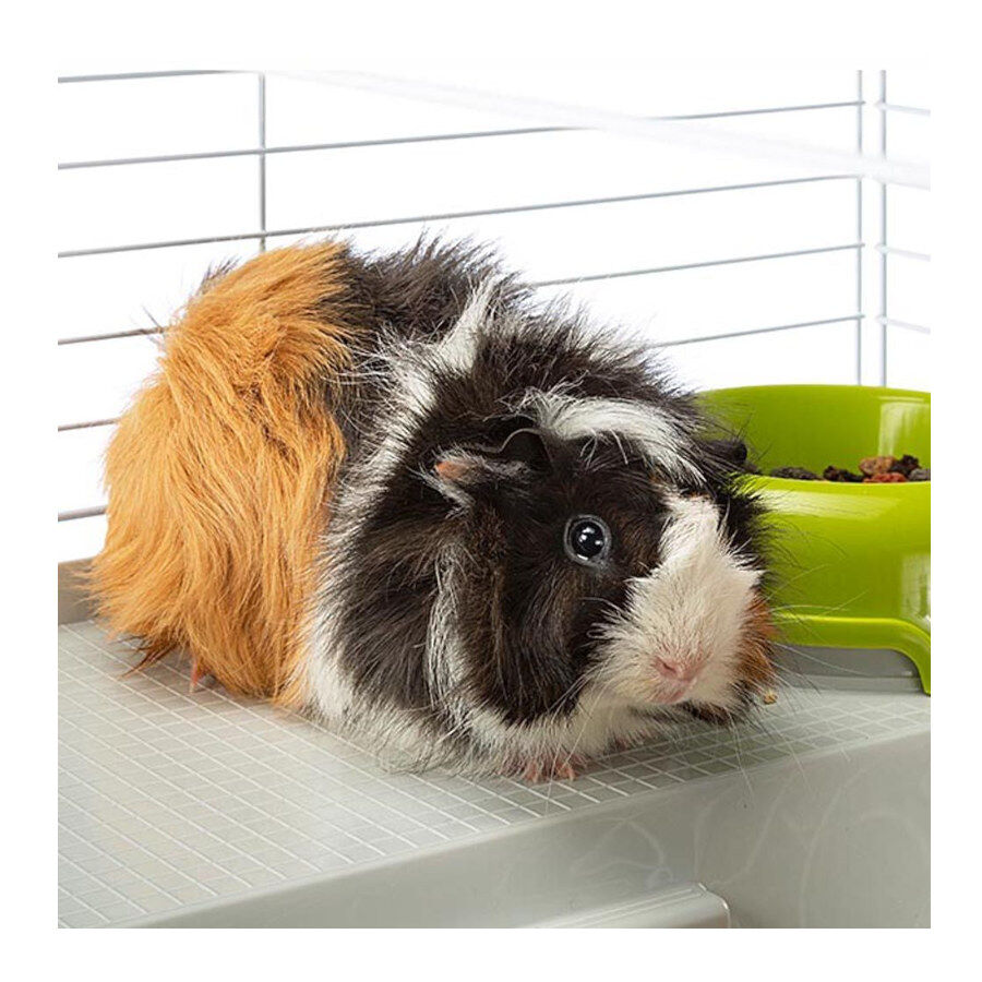 Ferplast Jaula para conejos y conejillos de &iacute;ndias, , large Imagen numero 3