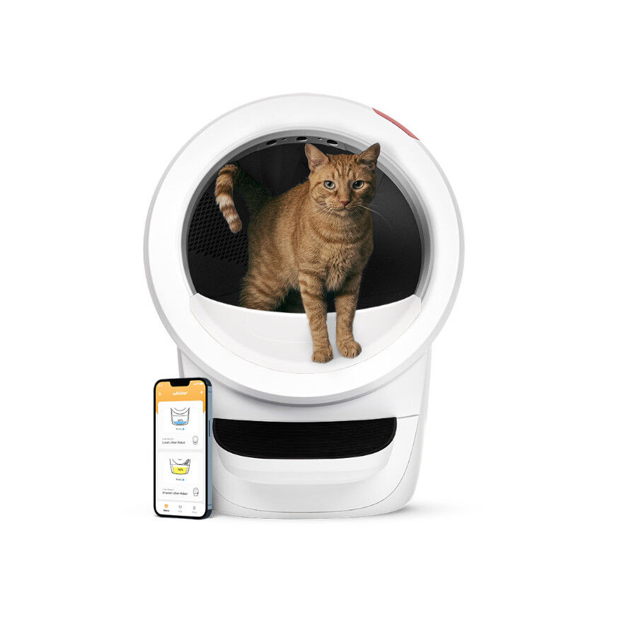 Litter-Robot Arenero Autolimpiable Blanco para gatos, , large Imagen numero 1