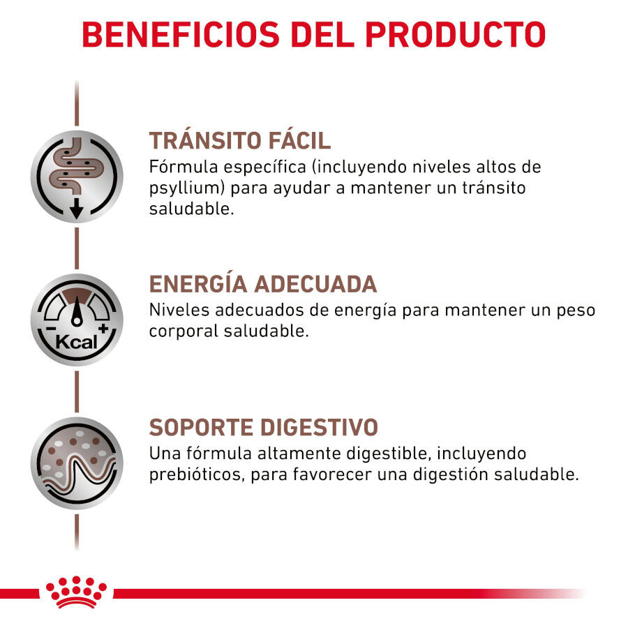 Royal Canin Gastrointestinal Fibre Response Láminas en Salsa Sobre para gatos thumbnail