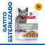 Hill's Science Plan Feline Sterilised Kitten Pollo en Salsa sobre para gatos, , large indicador imagen numero 2