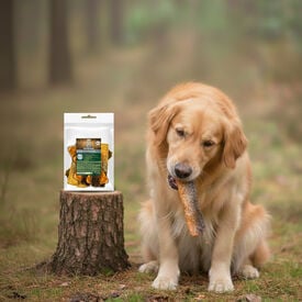 True Origins Piel de Salm&oacute;n con Carne Snack para perros
