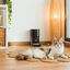 Cecotec Pumba 6000 Purrfect Meal Smart Vision Comedero Automático para perros y gatos, , large indicador imagen numero 8
