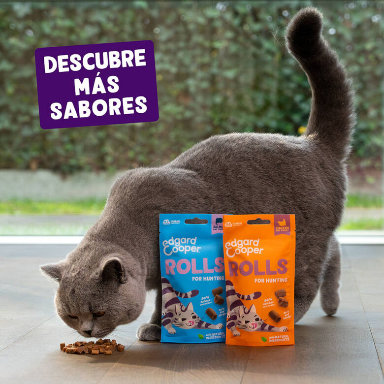 Edgard &amp; Cooper Rollitos Salmón y Pollo para gatos thumbnail