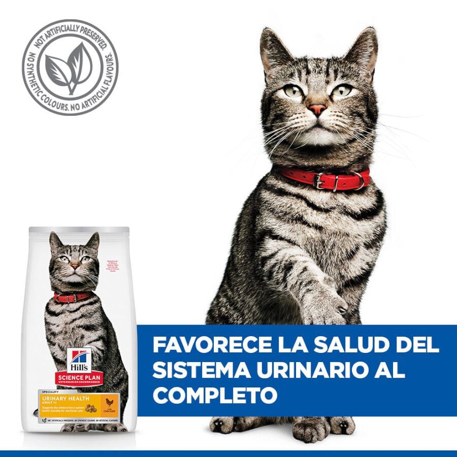 Hill&#039;s Urinary Pollo pienso para gatos thumbnail