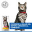 1.5 kg Hill's Urinary Pollo pienso para gatos, , large indicador imagen numero 6