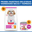 6 kg Hill's Science Plan Mature Adult Small y Mini pollo pienso para perros, , large indicador imagen numero 4