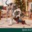 Wonder Christmas Perro Salchicha XL Peluche para perros, , large indicador imagen numero 2