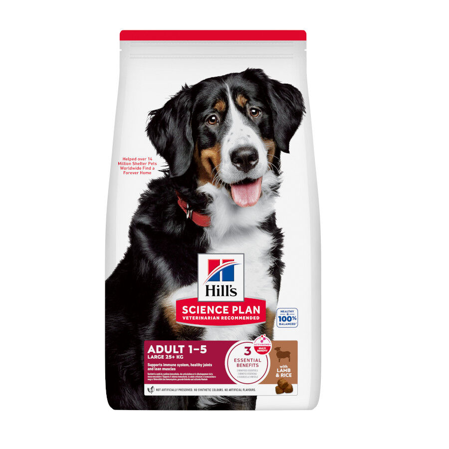 Hill's Science Plan Adult Large Breed pienso cordero y arroz para perros de razas grandes