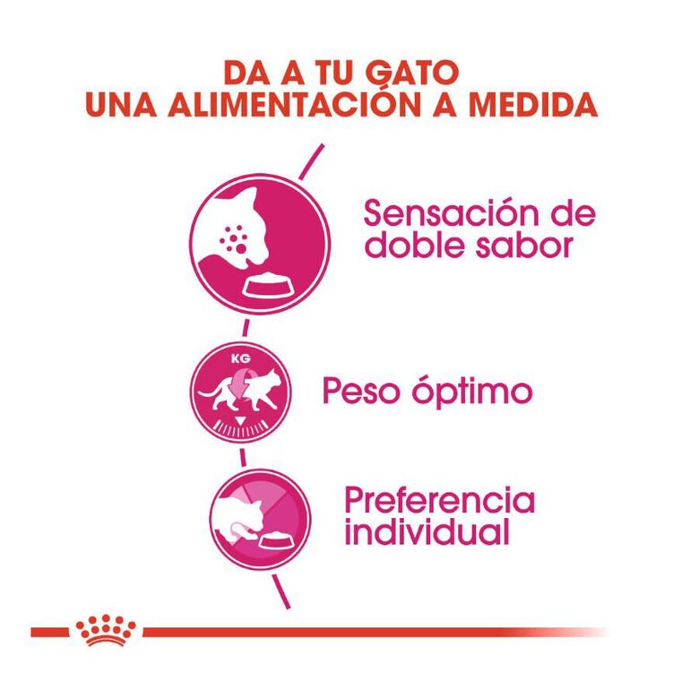 Royal Canin Adult Exigent Savour pienso para gatos thumbnail