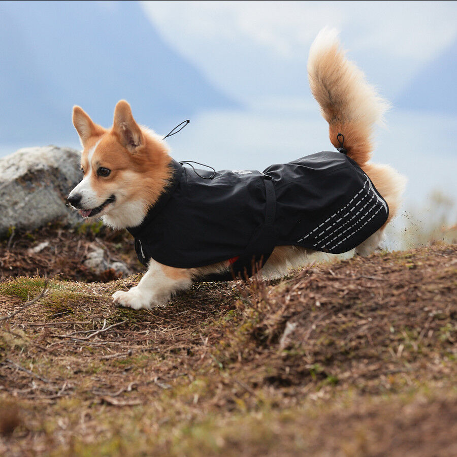 Non-stop dogwear Fjord Chubasquero Impermeable Negro para perros thumbnail