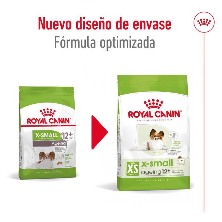 1.5 kg Royal Canin X-Small Ageing 12+ Adult pienso para perros, , large Imagen numero 2