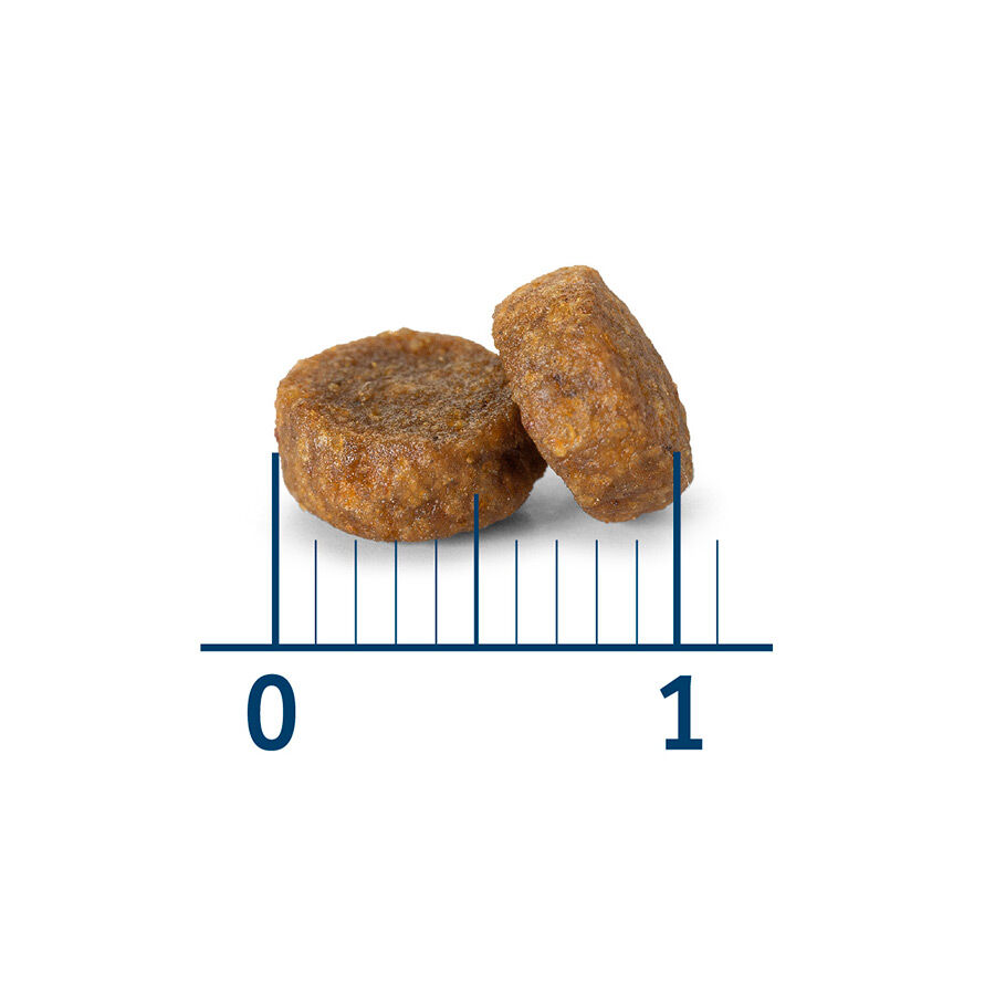 Nath Kitten Pollo y Arroz pienso para gatos thumbnail