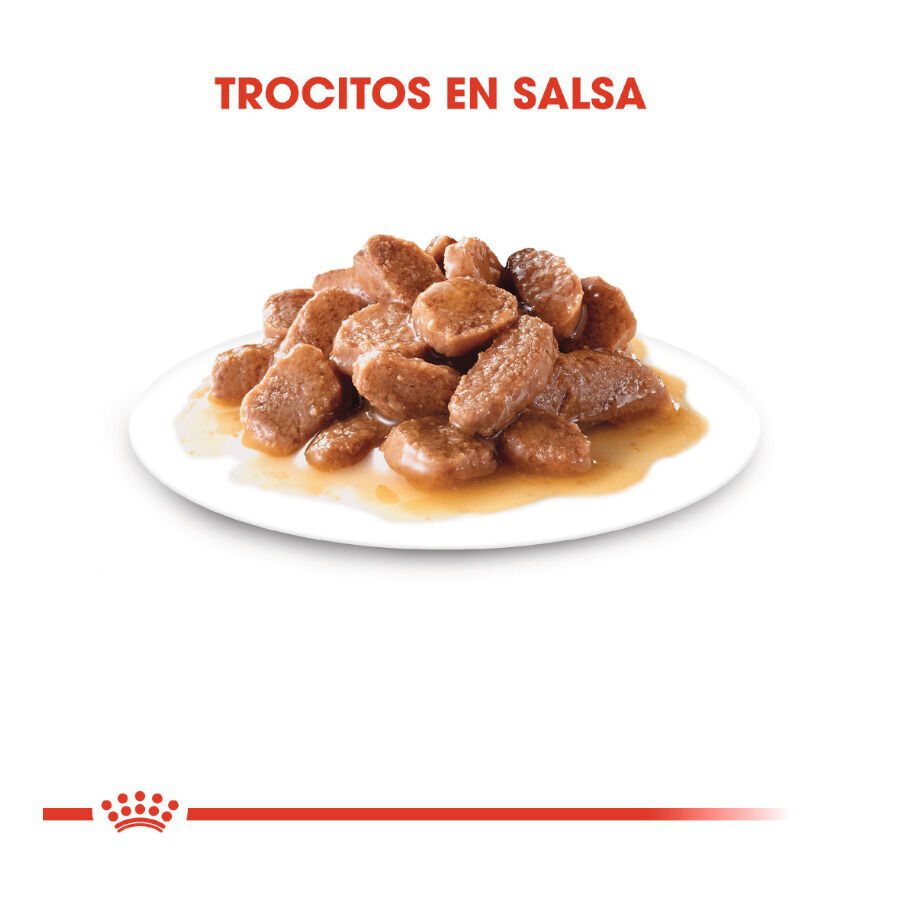 Royal Canin Instinctive sobres en salsa para gatos thumbnail