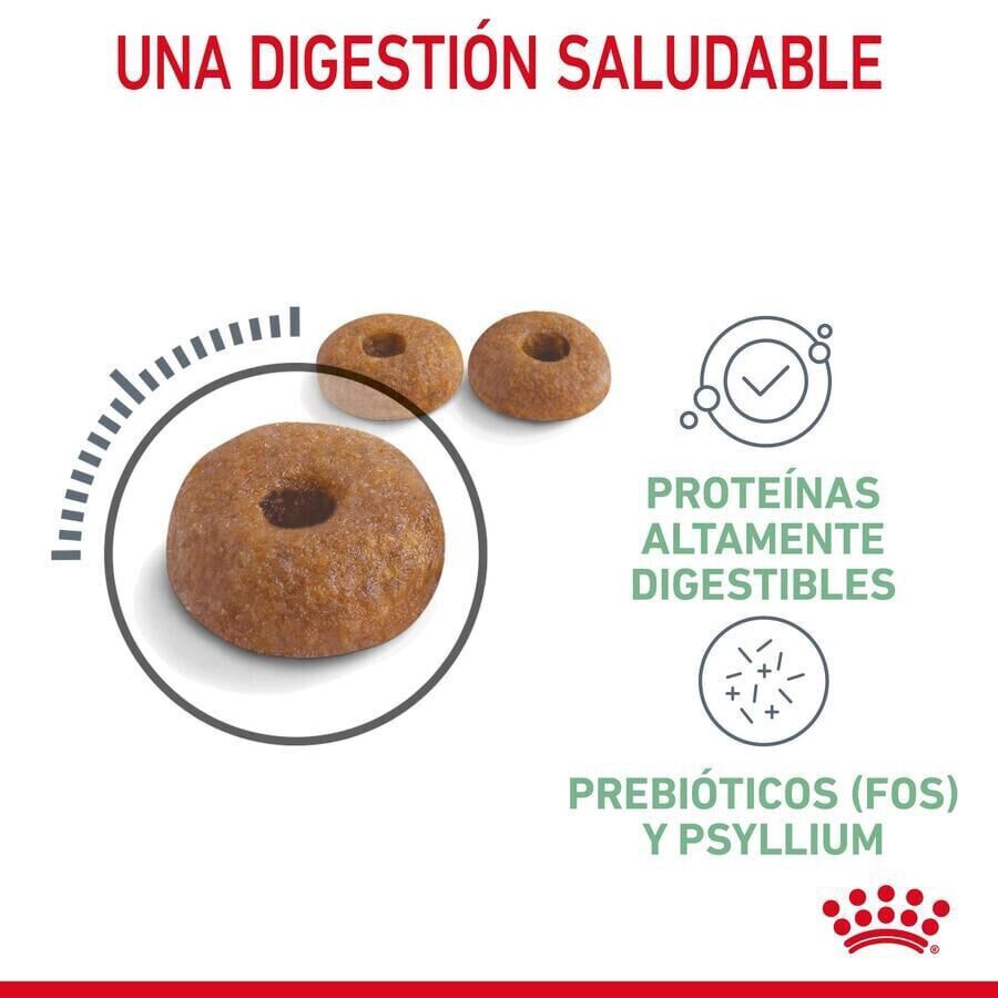 Royal Canin Adult Digestive pienso para gatos thumbnail