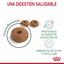 10 kg Royal Canin Adult Digestive pienso para gatos, , large indicador imagen numero 3