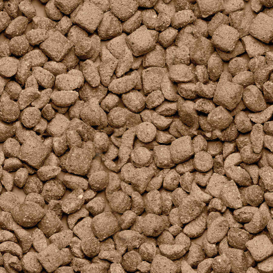 Beaphar Care+ H&aacute;mster alimento para h&aacute;msteres, , large Imagen numero 2