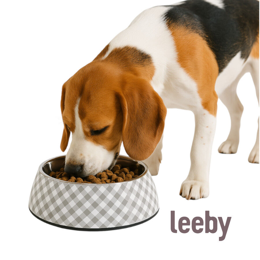 Leeby comedero acero inoxidable vichy para perros thumbnail