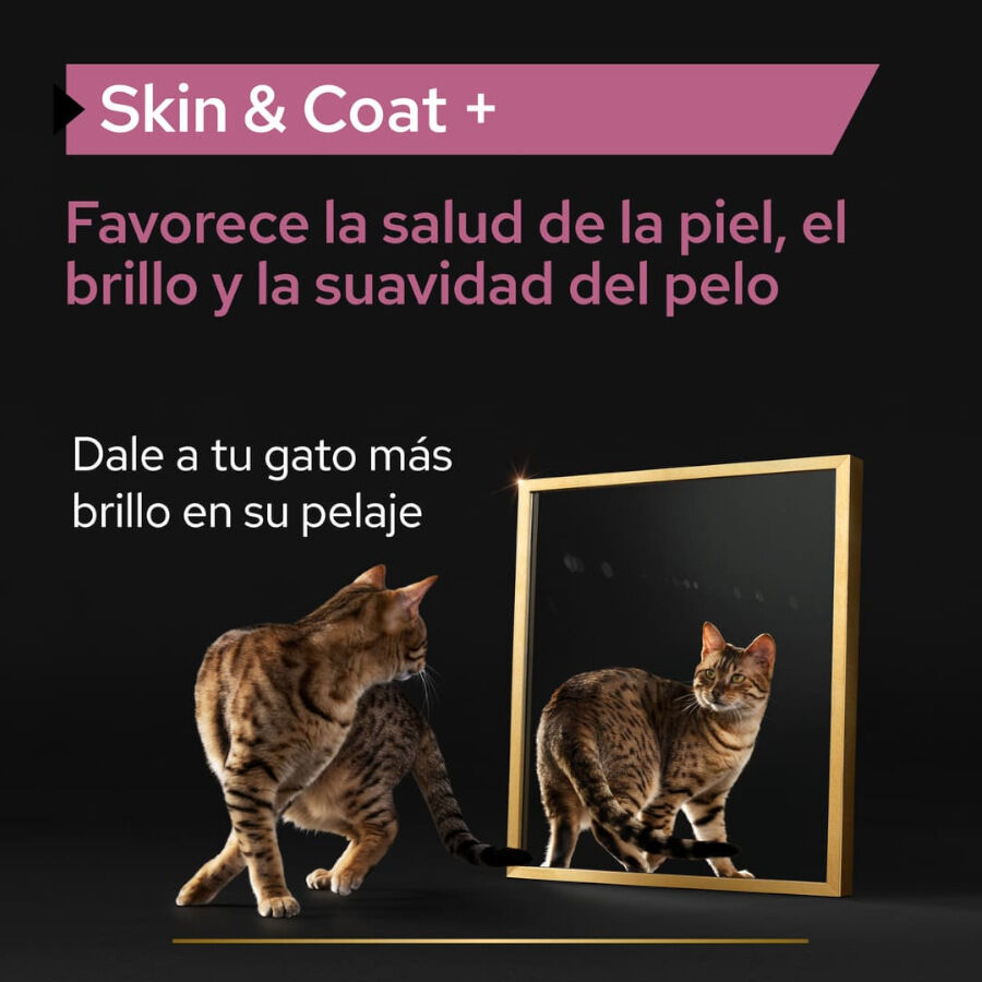 Pro Plan Skin &amp; Coat + Aceite de Salmón Noruego para gatos thumbnail