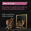 Pro Plan Skin & Coat + Aceite de Salmón Noruego para gatos, , large indicador imagen numero 2