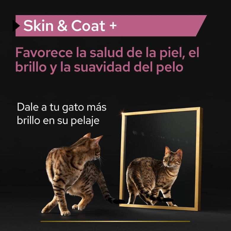 Pro Plan Skin & Coat + Aceite de Salmón Noruego para gatos, , large image number null