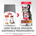 Hill's Adult Hairball Idoor Pollo pienso para gatos, , large image number null
