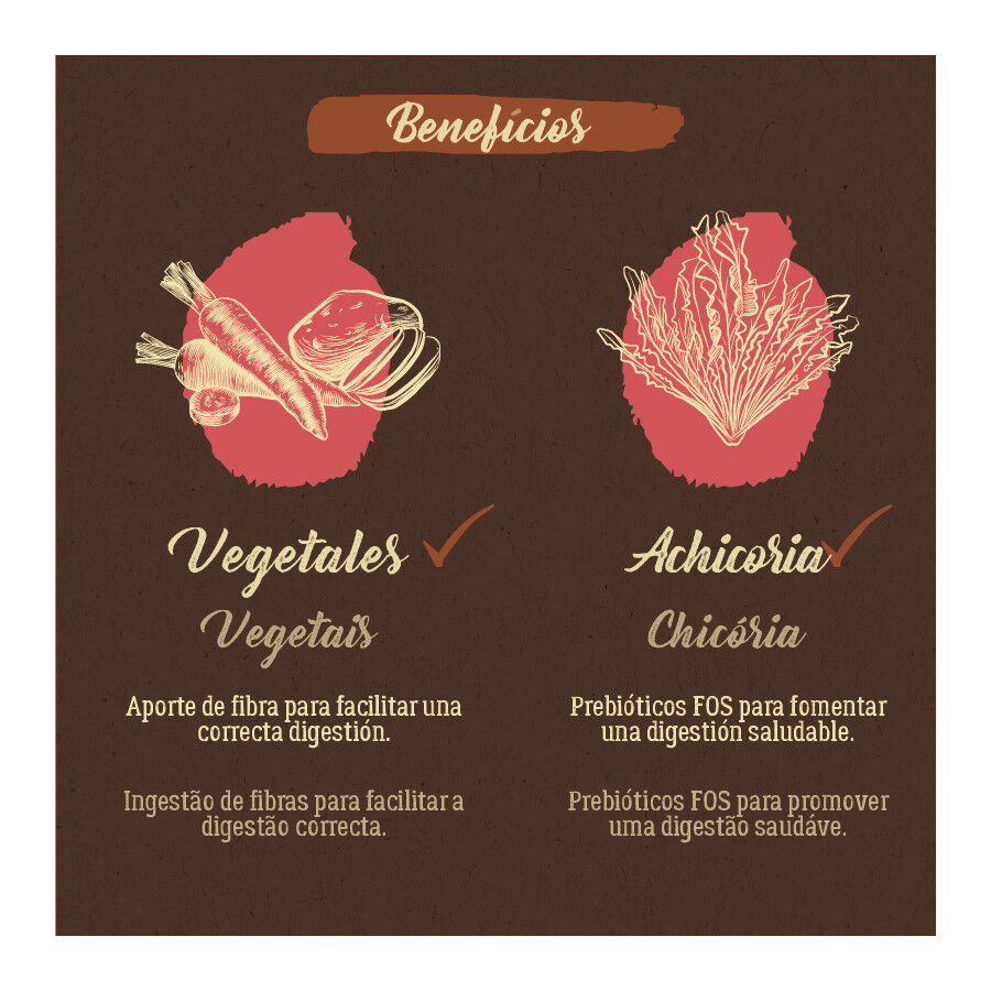 True Origins Pure Grain Free Adult Cordero pienso para perros thumbnail