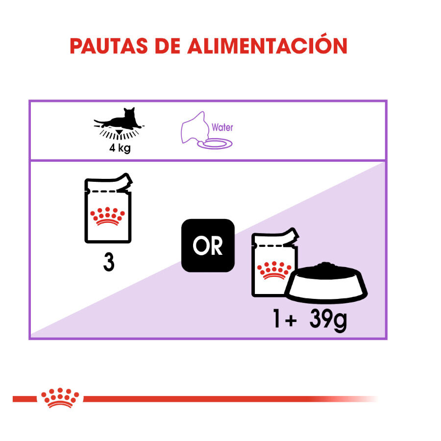 Royal Canin Sterilised gelatina sobres para gato thumbnail
