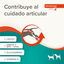 Beaphar Pasta Flexifit para perros y gatos, , large indicador imagen numero 3