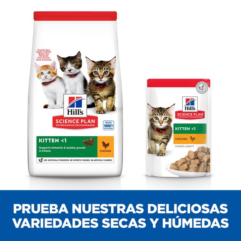 Hill&#039;s Science Plan Kitten Pollo pienso para gatos thumbnail