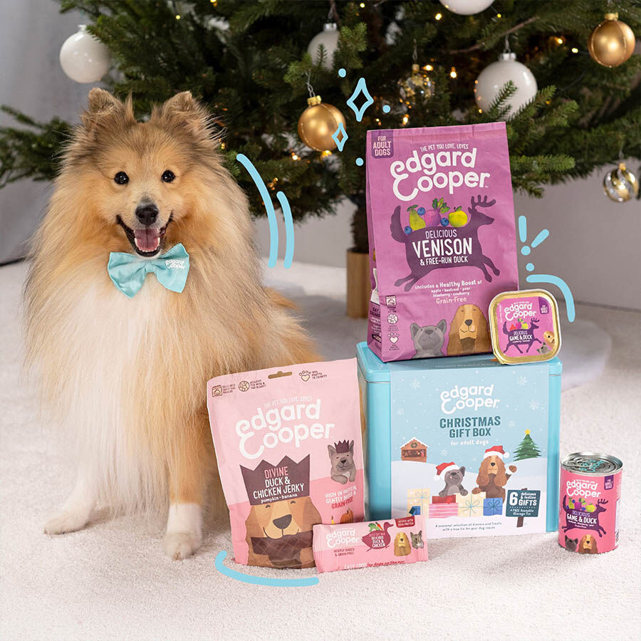 1 ud. Edgard & Cooper Kit de Navidad con comida, contenedor y pajarita para perros, , large Imagen numero 2