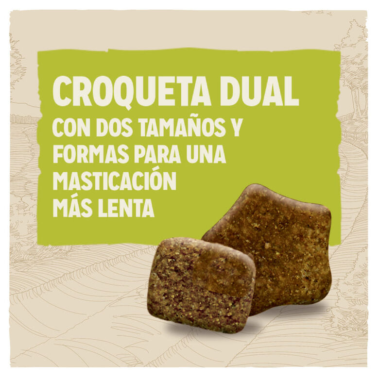 Dog Chow Adult Cordero pienso para perros thumbnail