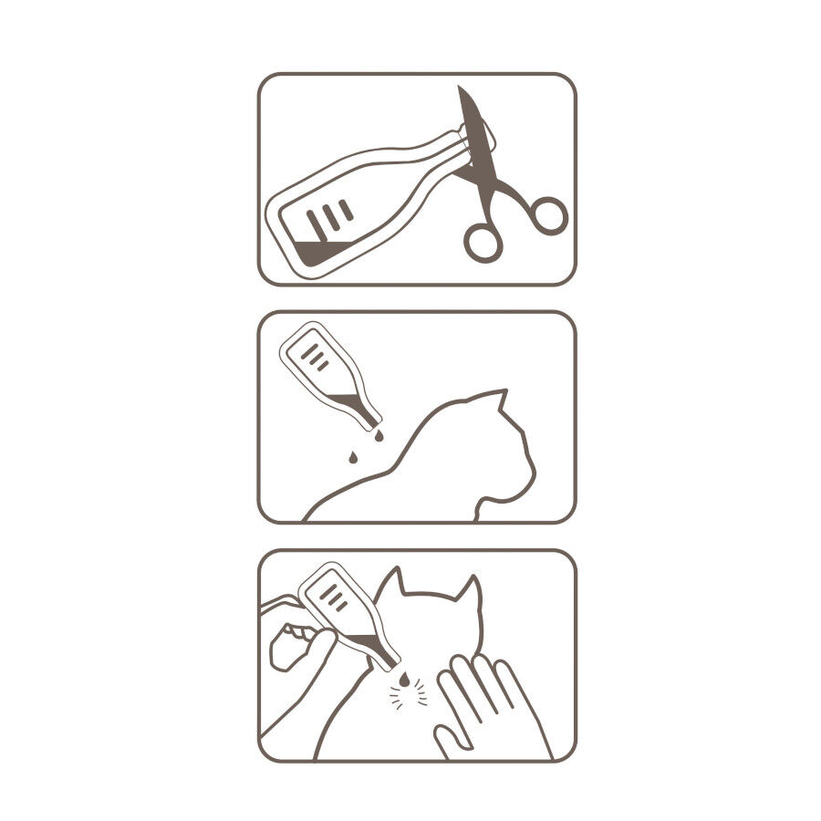 Beaphar Fiprotec Pipetas Antiparasitarias para gatos thumbnail