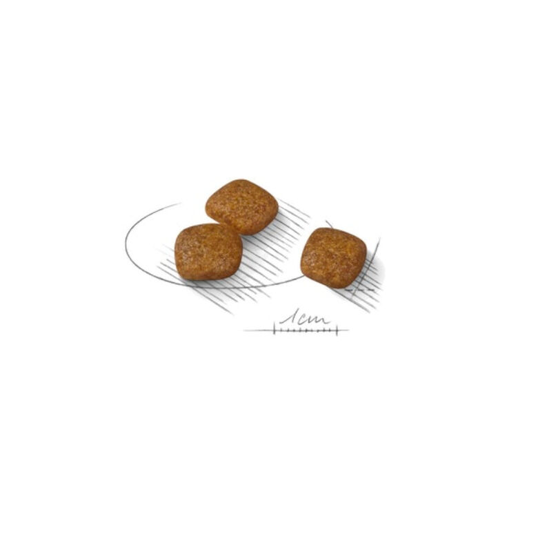 Royal Canin Urinary Care Mini pienso para perros thumbnail