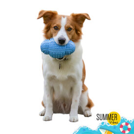 Summer Vibes Pelota Rugby Mordedor Juguete para perros