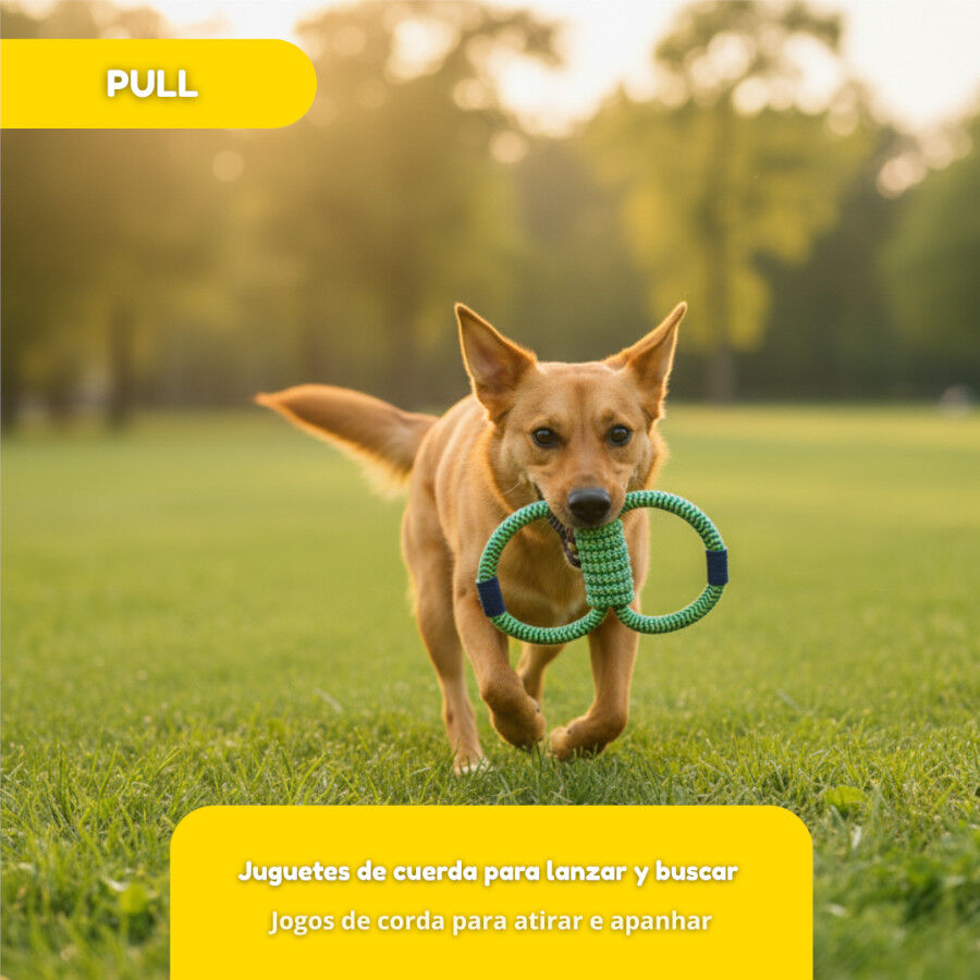 Tootoy! Mordedor de Cuerda Doble para perros thumbnail