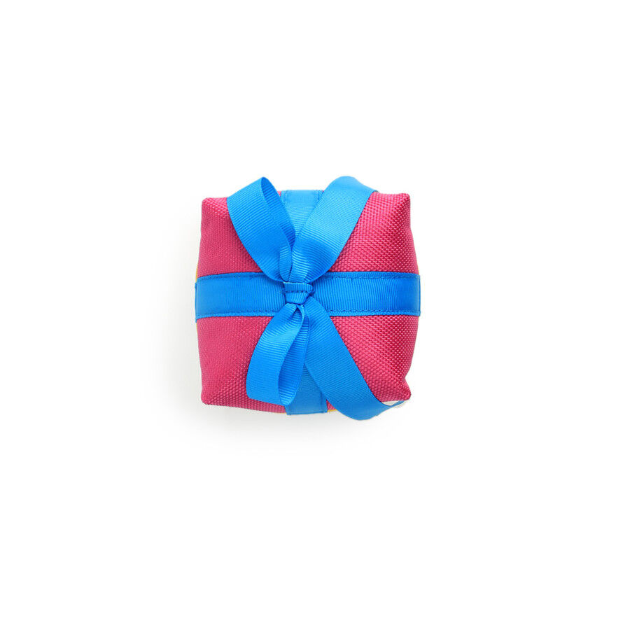 All For Paws Birthday Treasure Peluche variado para perros thumbnail