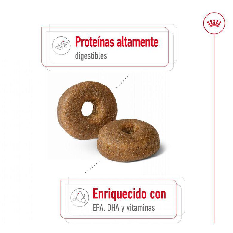 Royal Canin Maxi Ageing 8+ pienso para perros thumbnail